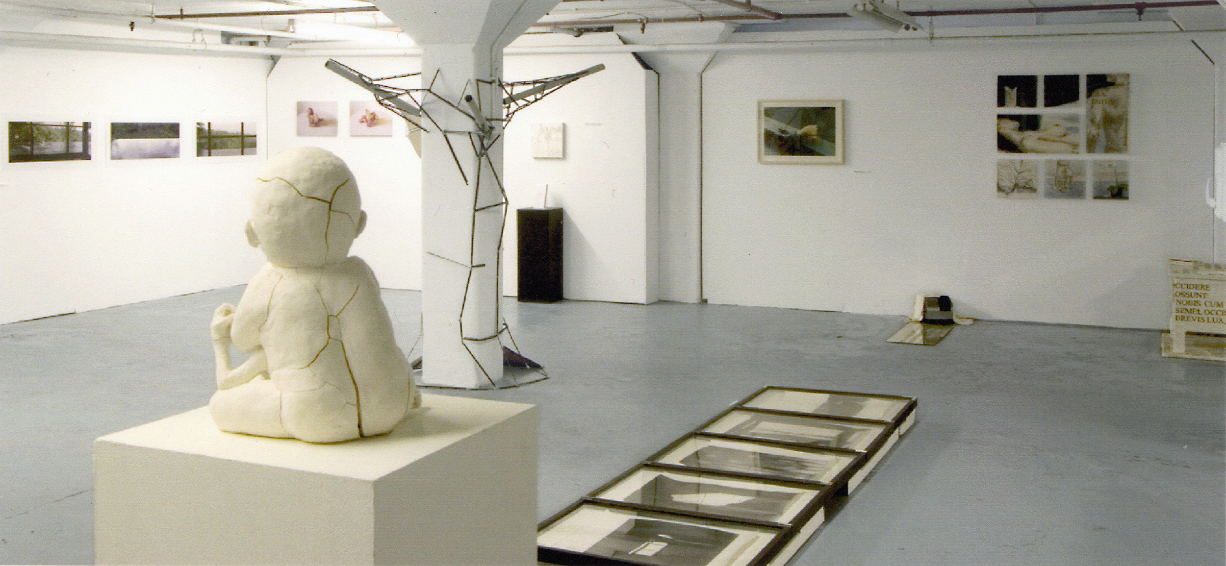 Photograph of art exhibition with artwork on the walls, floor and free standing plinths. There is a sculpture of a cracked plaster baby in the foreground, some photographs in glass boxes on the floor, and other artwork.